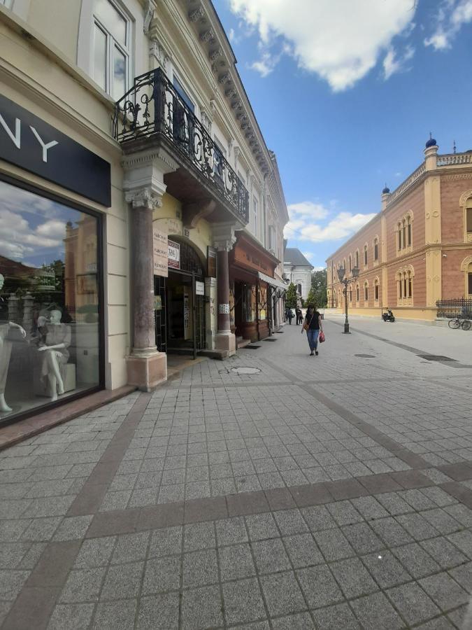 Apartmani Sara Novi Sad Exterior foto